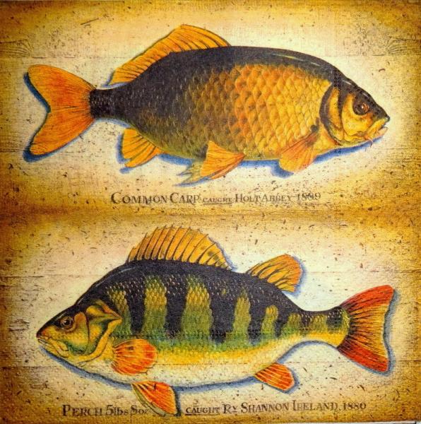 041 Fish - 3-ply - Paper Design
